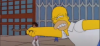 homer.PNG