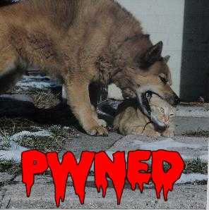pwned.jpg