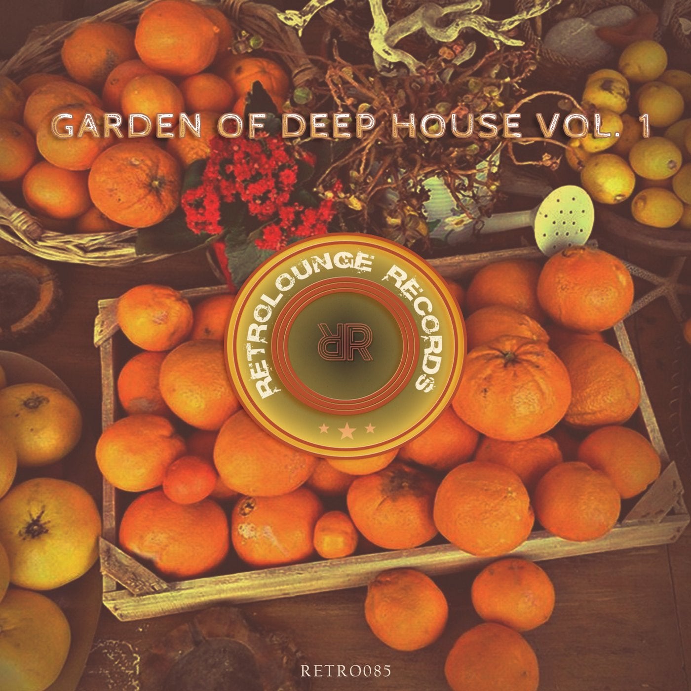 www.beatport.com