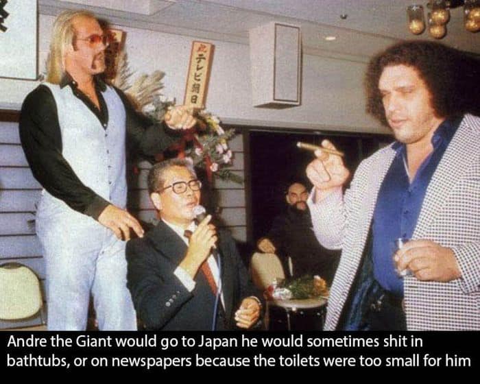 andre_the_giant_07.jpg