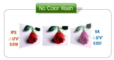 IPS+COLOR+WASH.bmp