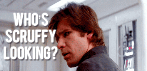 Who-s-scruffy-looking-han-solo-30040999-500-244.gif