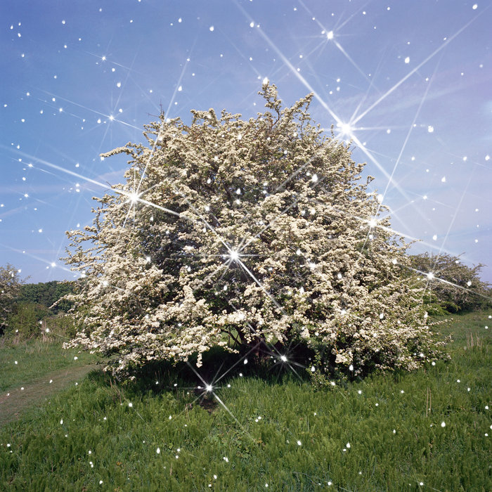 caribouband.bandcamp.com