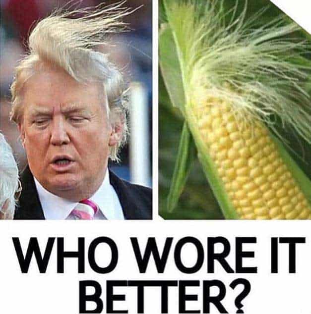 best-meme-of-the-day.jpg