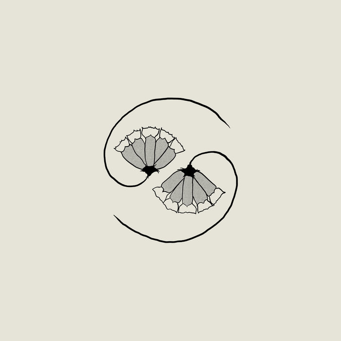 godspeedyoublackemperor.bandcamp.com