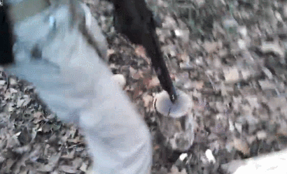 daily_gifdump_539_09.gif