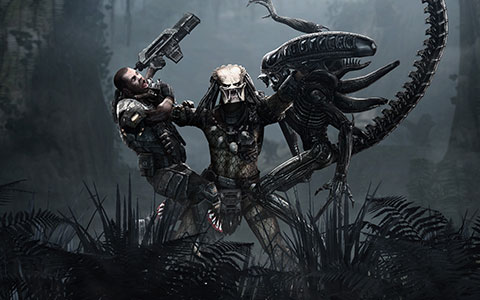 wallpaper_aliens_vs_predator_05.jpg