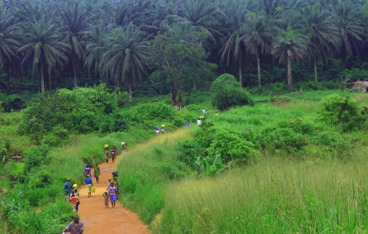 Kenema-Kailahun_Road.jpg