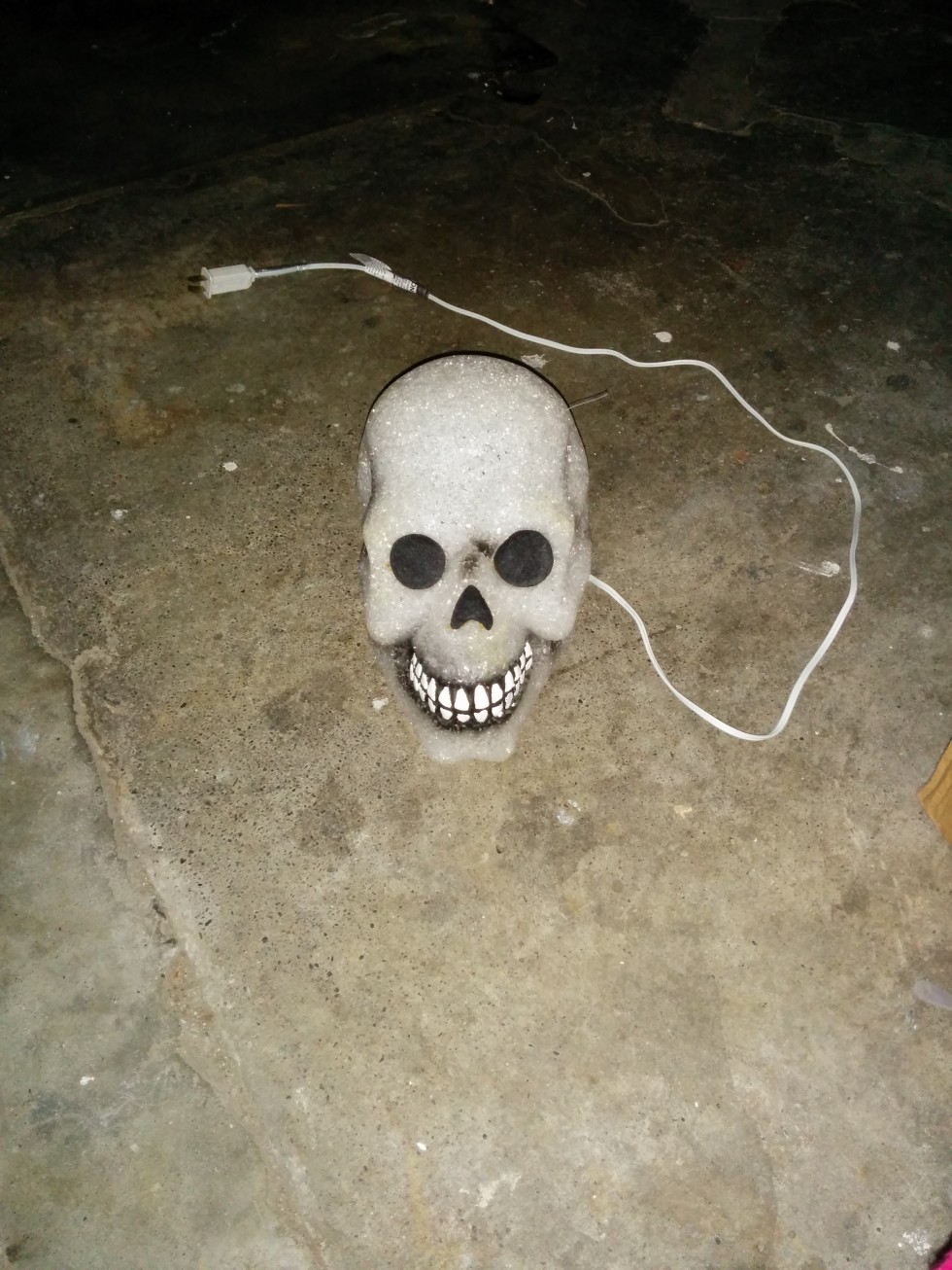 skull_nexus-980x1306.jpg