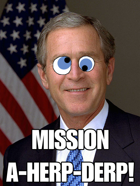tumblr_lkjsrnmq351qzscldo1_500.png