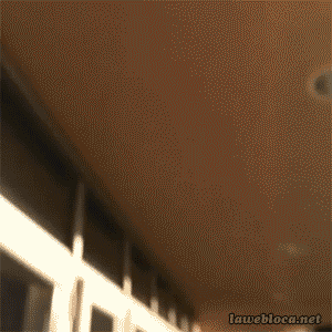 daily_gifdump_516_03.gif
