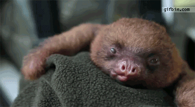 friday_gifdump_523_21.gif