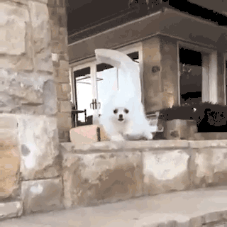 52120151508195.gif