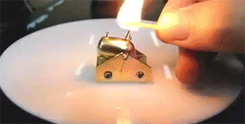 daily_gifdump_520_16.gif