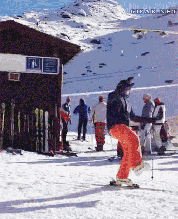 4.gif