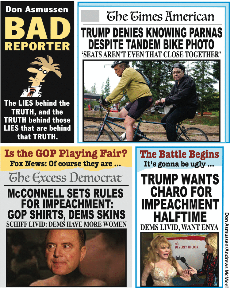 Bad Reporter Comic Strip for January 22, 2020 