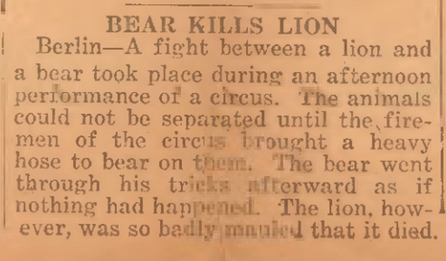 BEAR_KILLS_LION.jpg