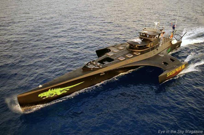 sea-shepherd-gojira.jpg