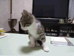 daily_gifdump_512_17.gif