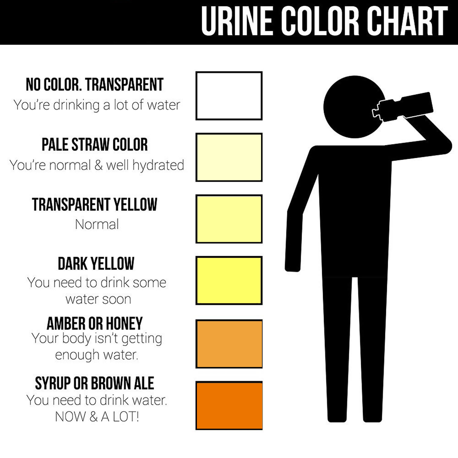 Urine-color-chart-1.jpg