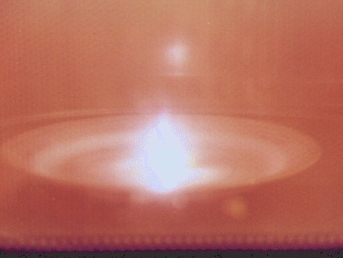 grape-2.gif