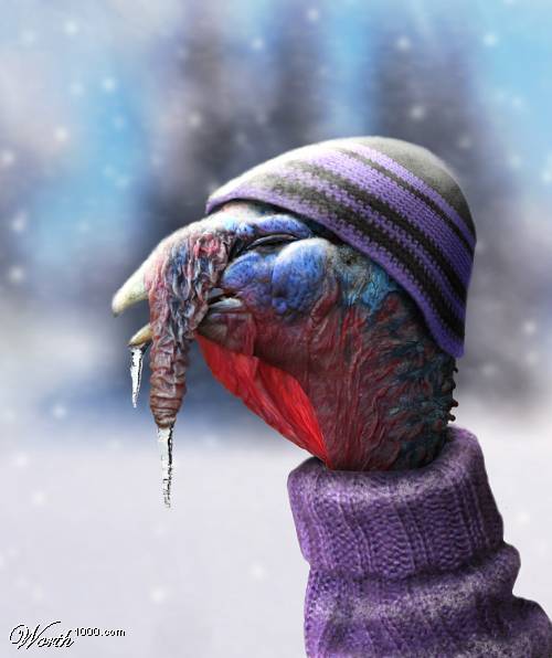 coldturkey.jpg