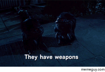 any-critters-fans-out-there-i-love-these-little-guys-12390.gif