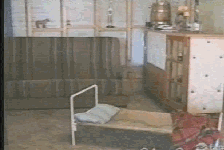 daily_gifdump_522_07.gif