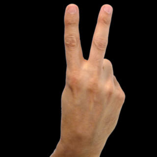 number02.jpg