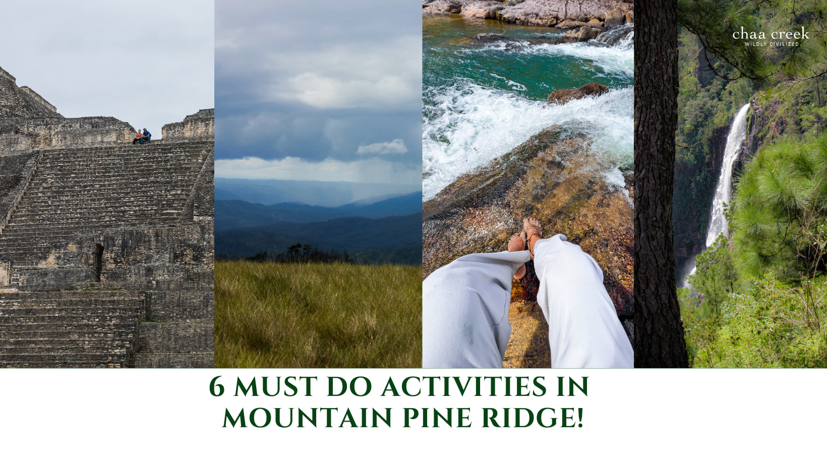 belize-travel-blog.chaacreek.com