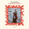 curtisharding.bandcamp.com