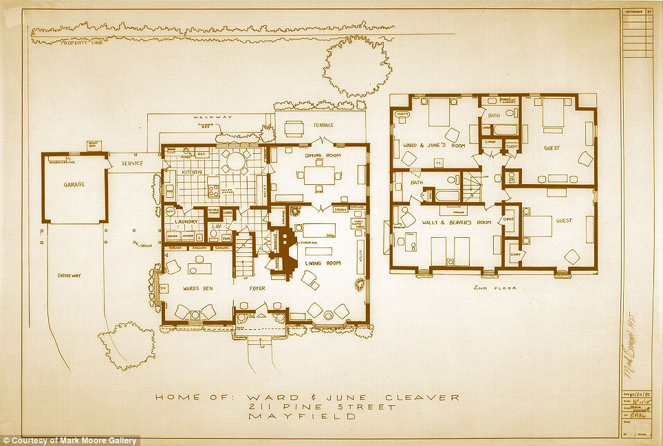 article-2192882-14AB90BB000005DC-328_964x649.jpg