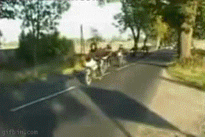 1240326104_bike-accident.gif