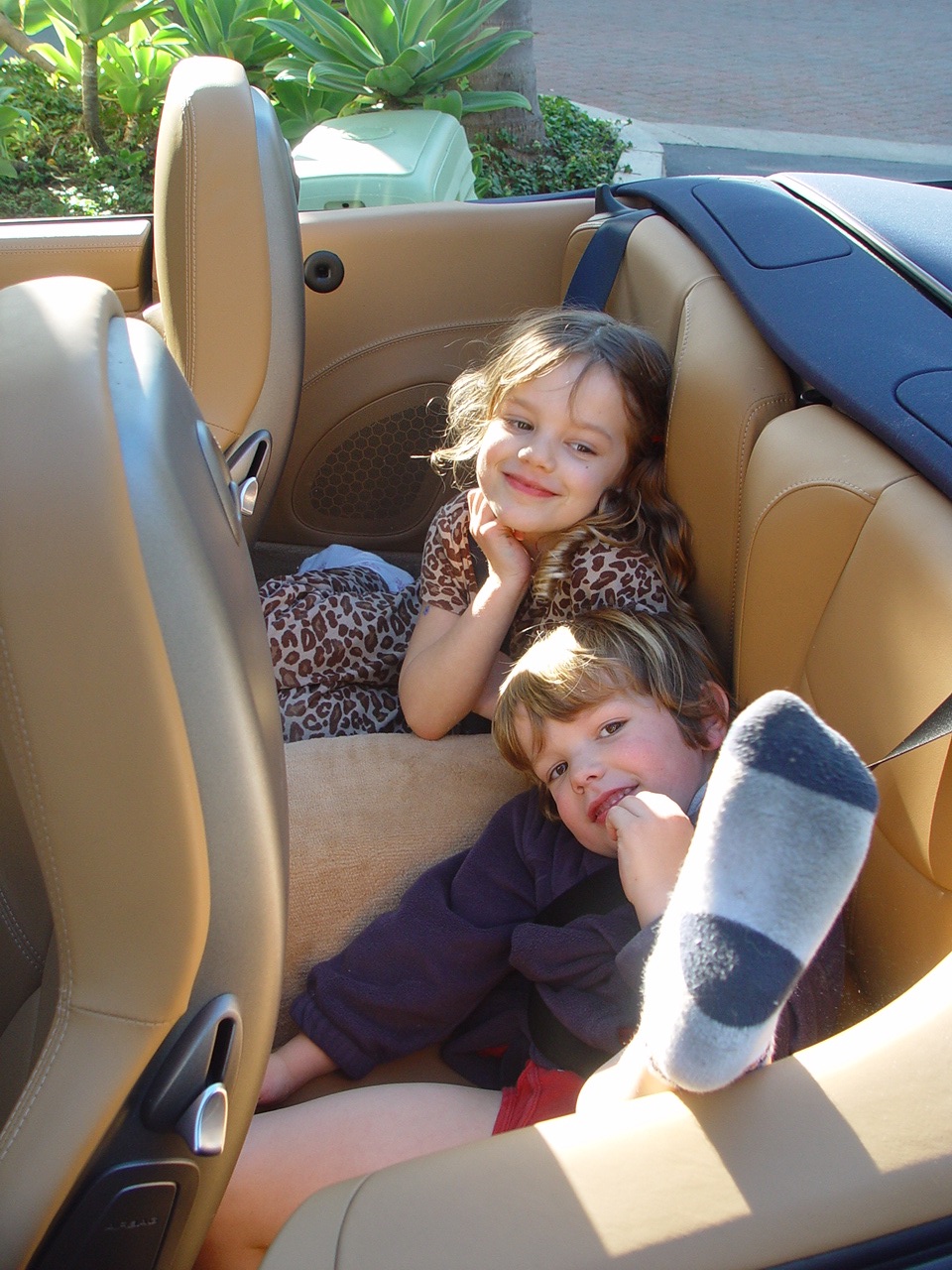 2006_porsche_911_carrera_cabriolet_100010200_l.jpg