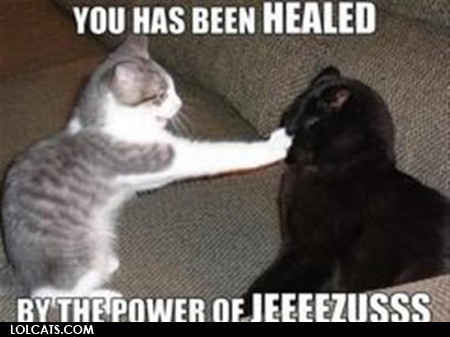lolcat-123yuukiangel-15292824-450-337.jpg