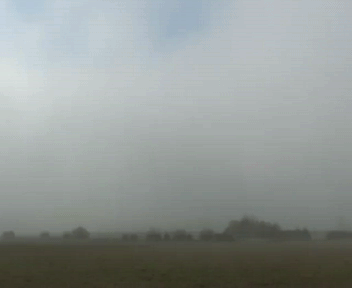daily_gifdump_527_10.gif