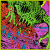 kinggizzard.bandcamp.com