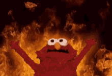 elmo-on-fire.gif