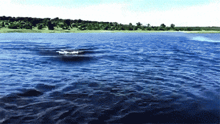 tumblr_niam94WLMT1qz6f9yo1_r1_500.gif