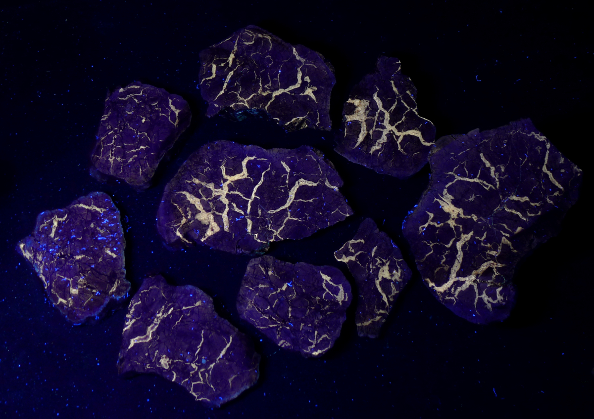septarian_group_lw.jpg