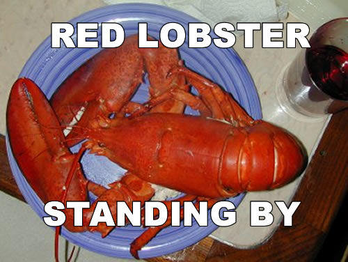 400_red_lobster.jpg