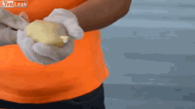 daily_gifdump_520_12.gif