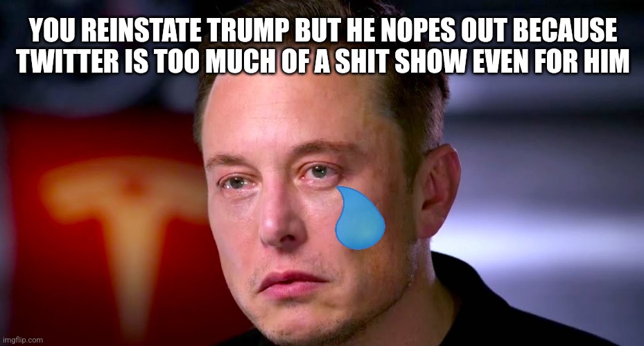 8a2xd1pkx51a1.jpg