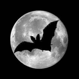 bat_and_moon.jpg