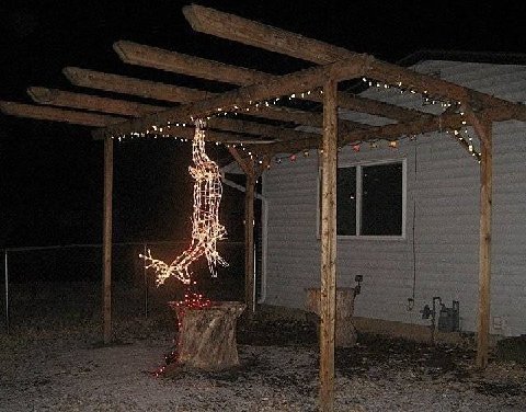 Redneck+Christmas+lights.jpg