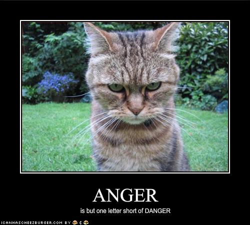 angry-danger-lolcats-threats-1598388992