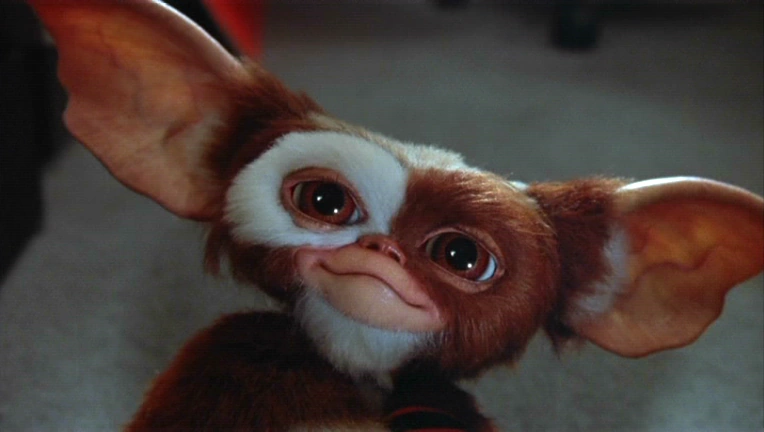 Gizmo.PNG