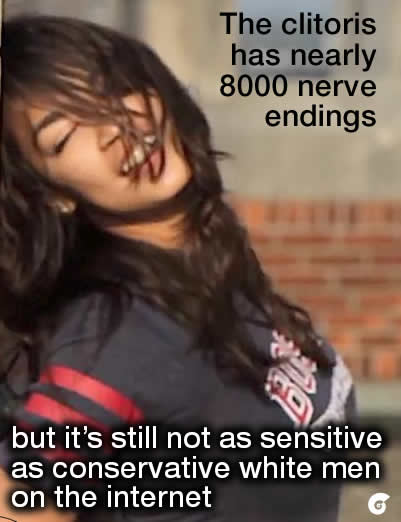 q7qw5986bj531.jpg