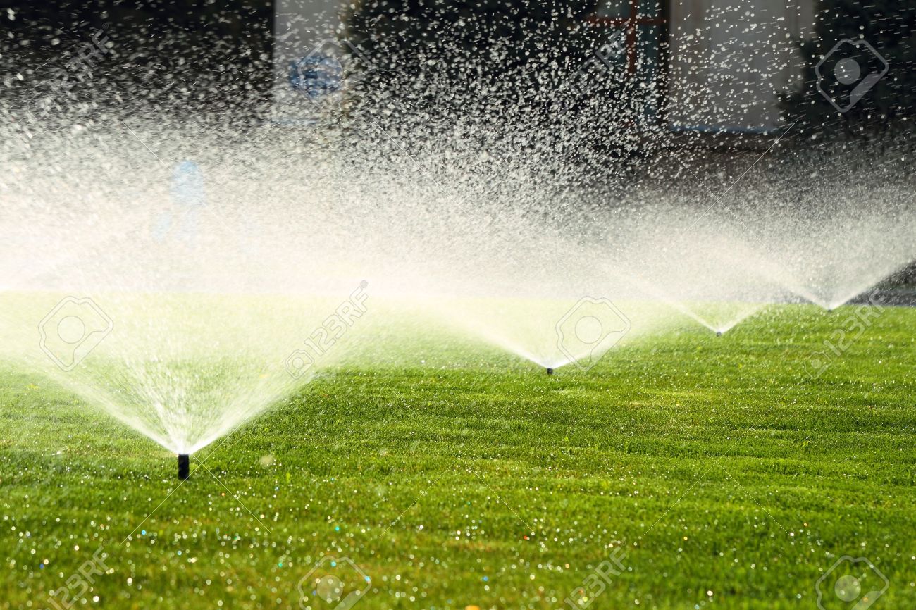 31205581-garden-sprinkler-on-a-sunny-summer-day-during-watering-the-green-lawn-Stock-Photo.jpg