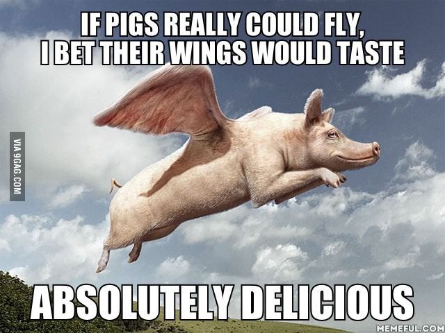 05b78f643f9ae862be3098f4455f421d--flying-pig-funny-pics.jpg